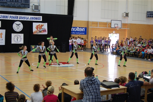 Obrázek v galerii