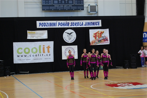 Obrázek v galerii