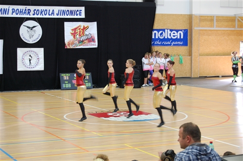 Obrázek v galerii