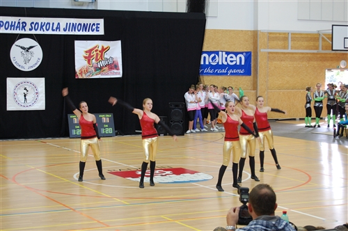Obrázek v galerii