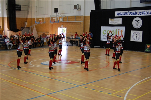 Obrázek v galerii