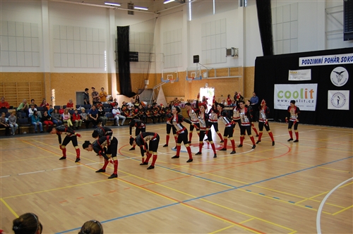 Obrázek v galerii