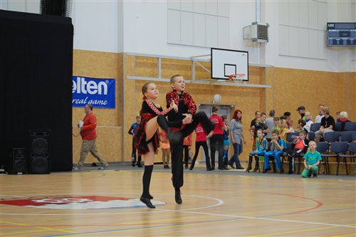Obrázek v galerii