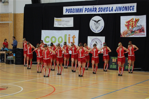 Obrázek v galerii