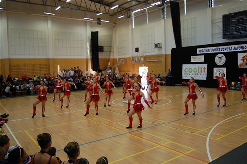 Obrázek v galerii