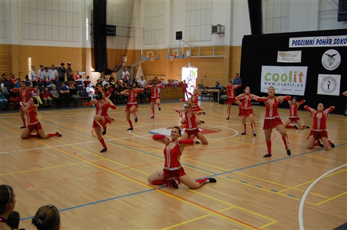 Obrázek v galerii