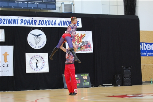 Obrázek v galerii