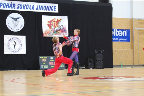 Obrázek v galerii