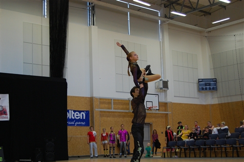Obrázek v galerii