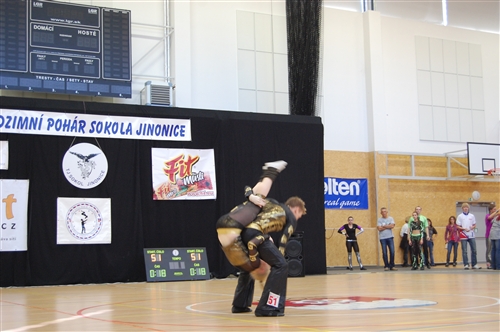 Obrázek v galerii