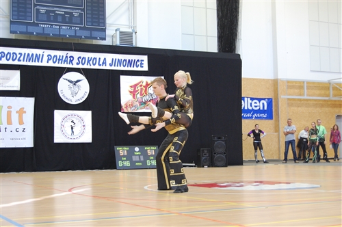 Obrázek v galerii