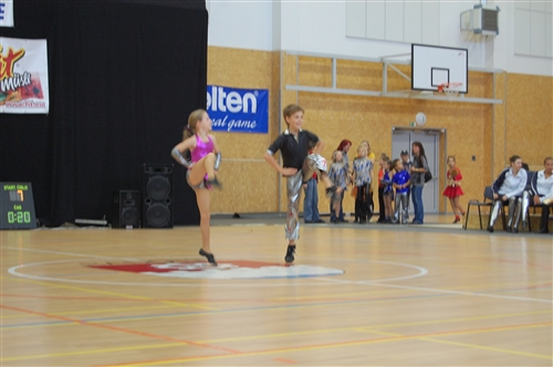 Obrázek v galerii