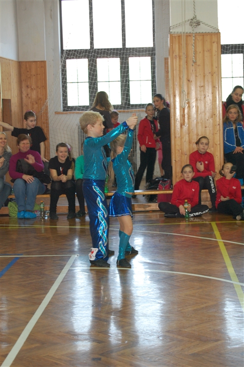 Obrázek v galerii