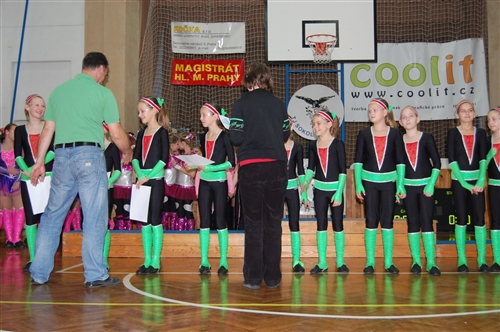Obrázek v galerii