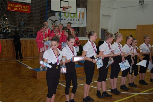 Obrázek v galerii