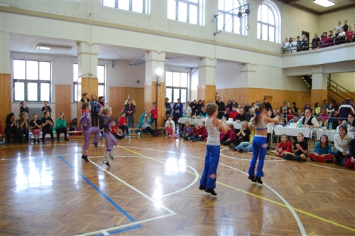 Obrázek v galerii