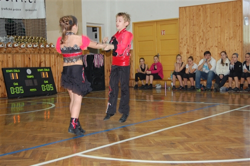 Obrázek v galerii