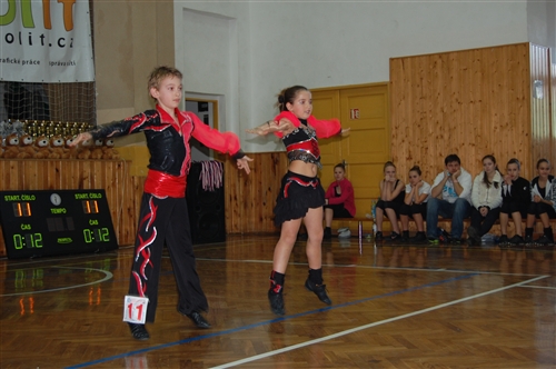 Obrázek v galerii