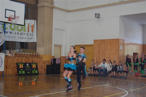 Obrázek v galerii
