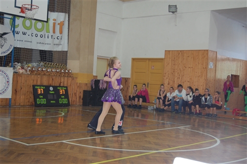 Obrázek v galerii