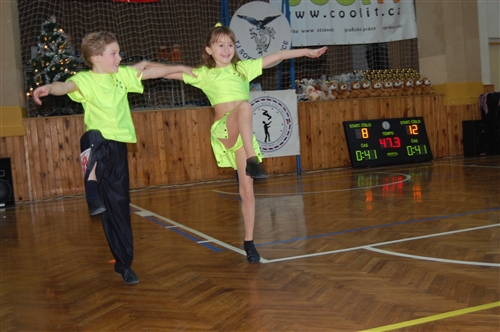 Obrázek v galerii