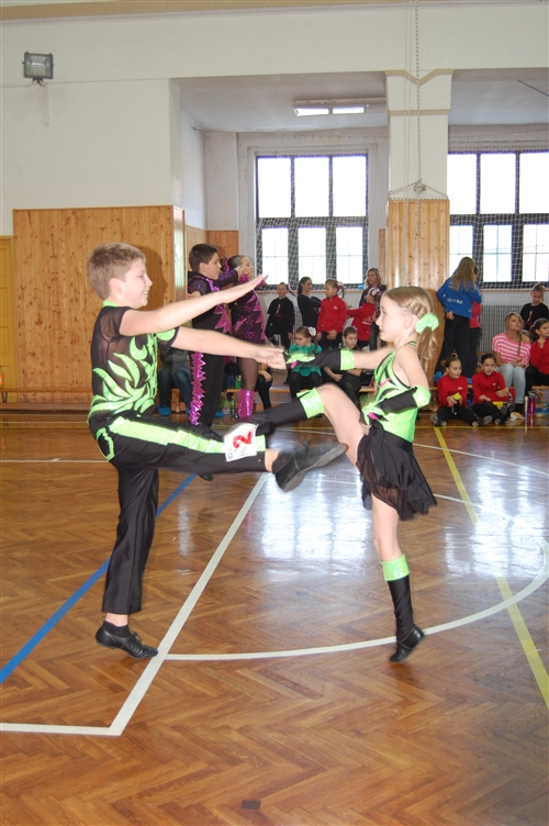 Obrázek v galerii