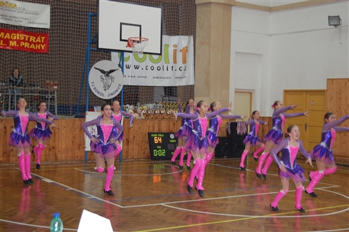 Obrázek v galerii