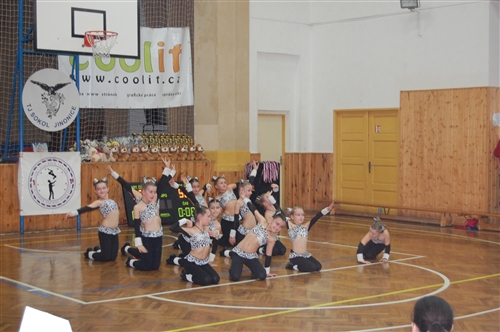 Obrázek v galerii