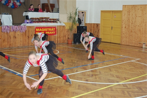 Obrázek v galerii