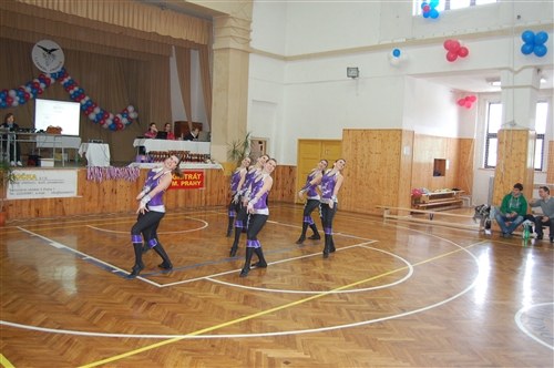 Obrázek v galerii
