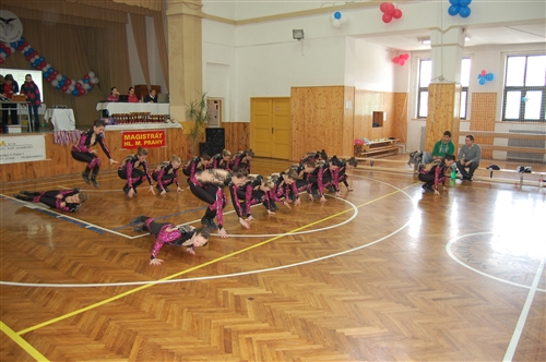 Obrázek v galerii