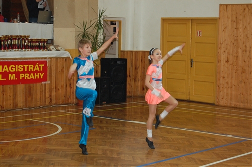 Obrázek v galerii