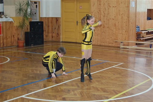 Obrázek v galerii