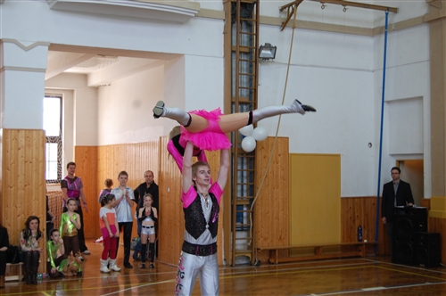Obrázek v galerii