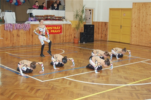 Obrázek v galerii