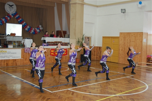 Obrázek v galerii