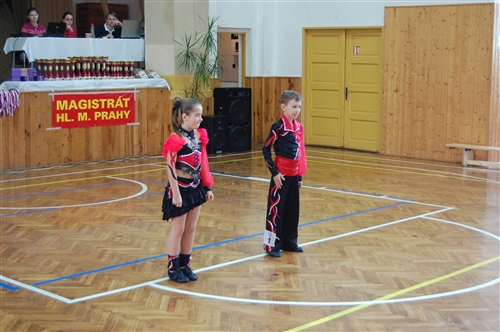 Obrázek v galerii