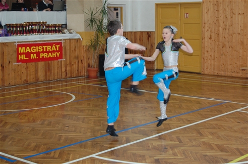 Obrázek v galerii