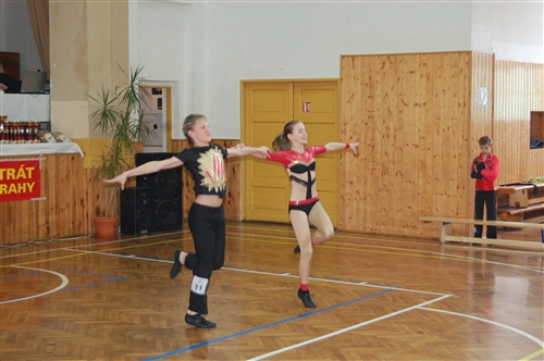 Obrázek v galerii