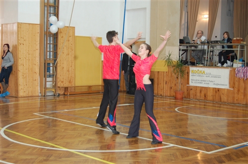 Obrázek v galerii