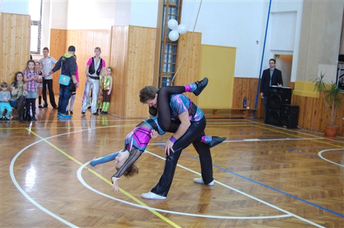 Obrázek v galerii