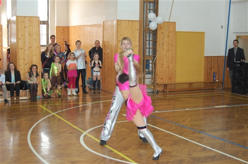 Obrázek v galerii