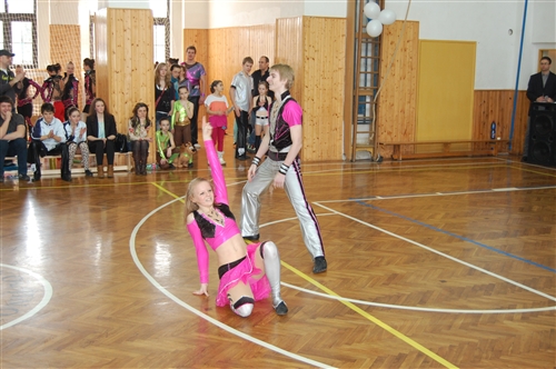 Obrázek v galerii