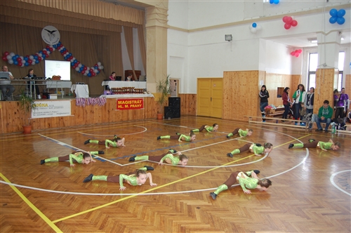 Obrázek v galerii