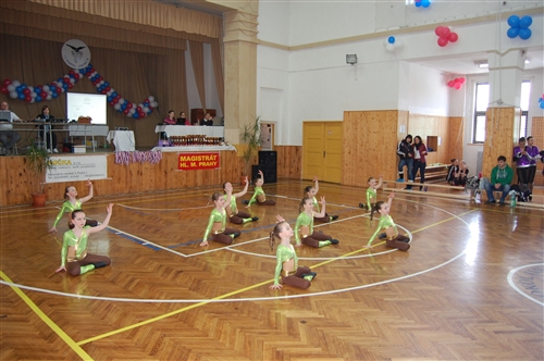 Obrázek v galerii