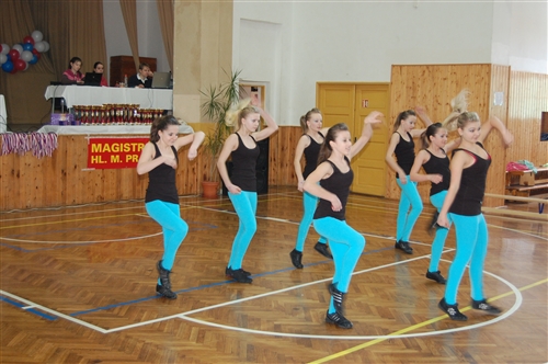 Obrázek v galerii