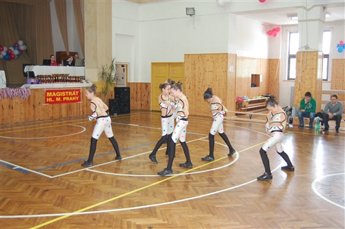Obrázek v galerii