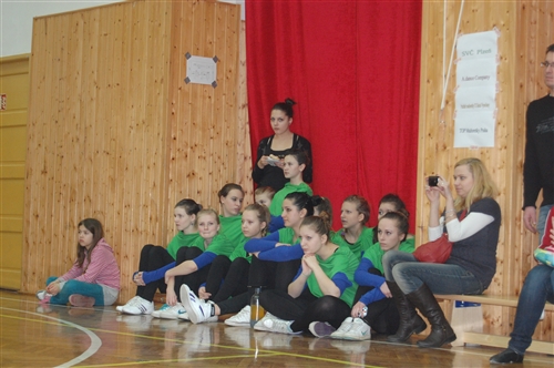 Obrázek v galerii