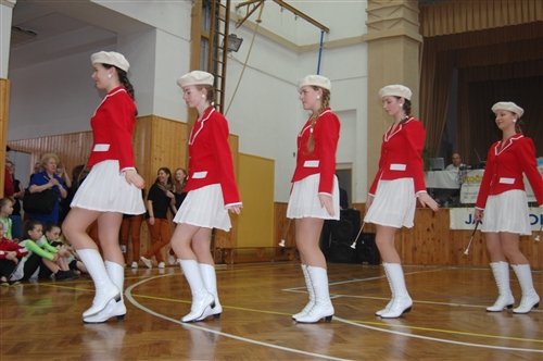 Obrázek v galerii