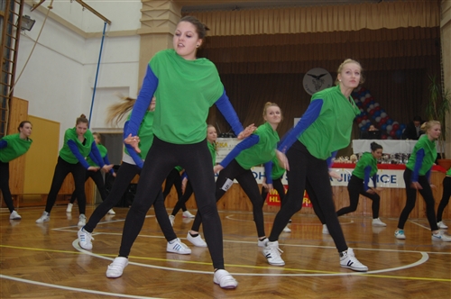 Obrázek v galerii